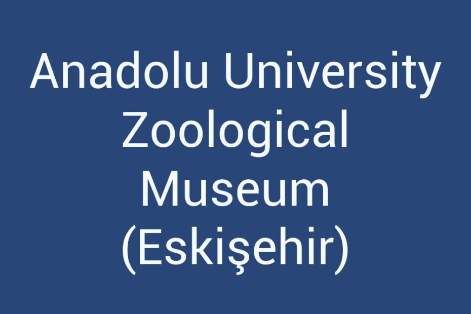 anadolu-university-zoological-museum-eskisehir