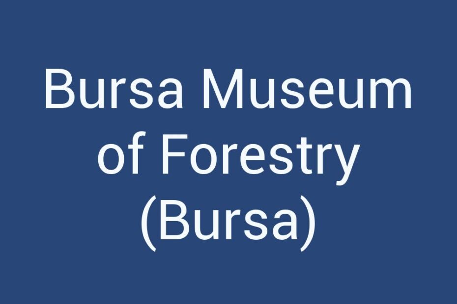 bursa-museum-of-forestry-bursa