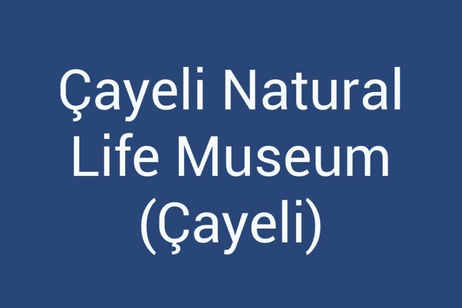 cayeli-natural-life-museum-cayeli