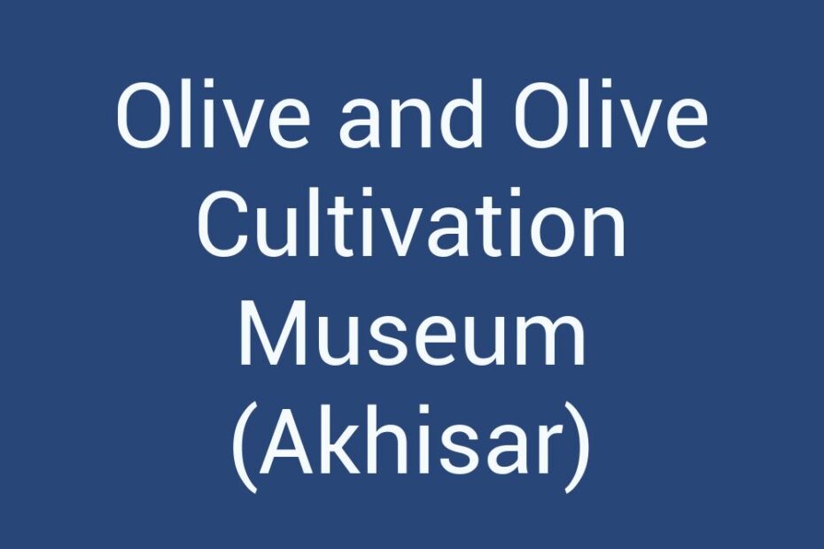 olive-and-olive-cultivation-museum-akhisar