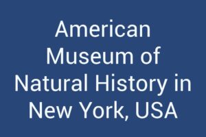American Museum of Natural History in New York, USA