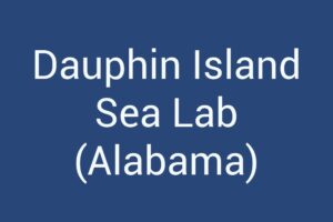 dauphin-island-sea-lab-alabama