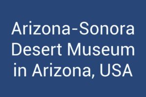 arizona-sonora-desert-museum-in-arizona-usa