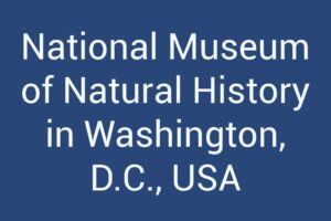 National Museum of Natural History in Washington, D.C., USA
